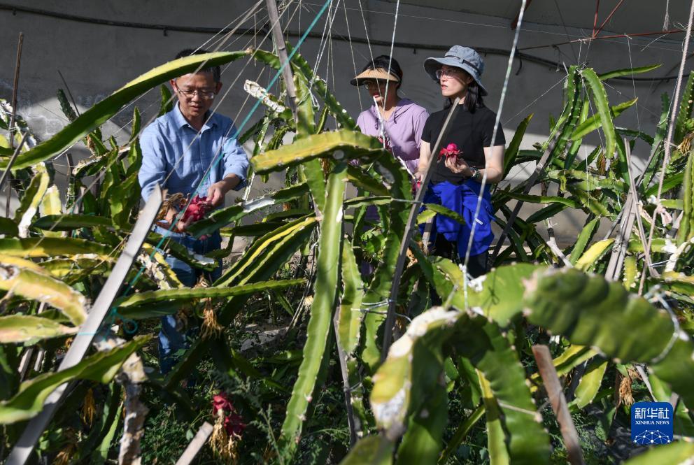 波克捕鱼v9多少钱